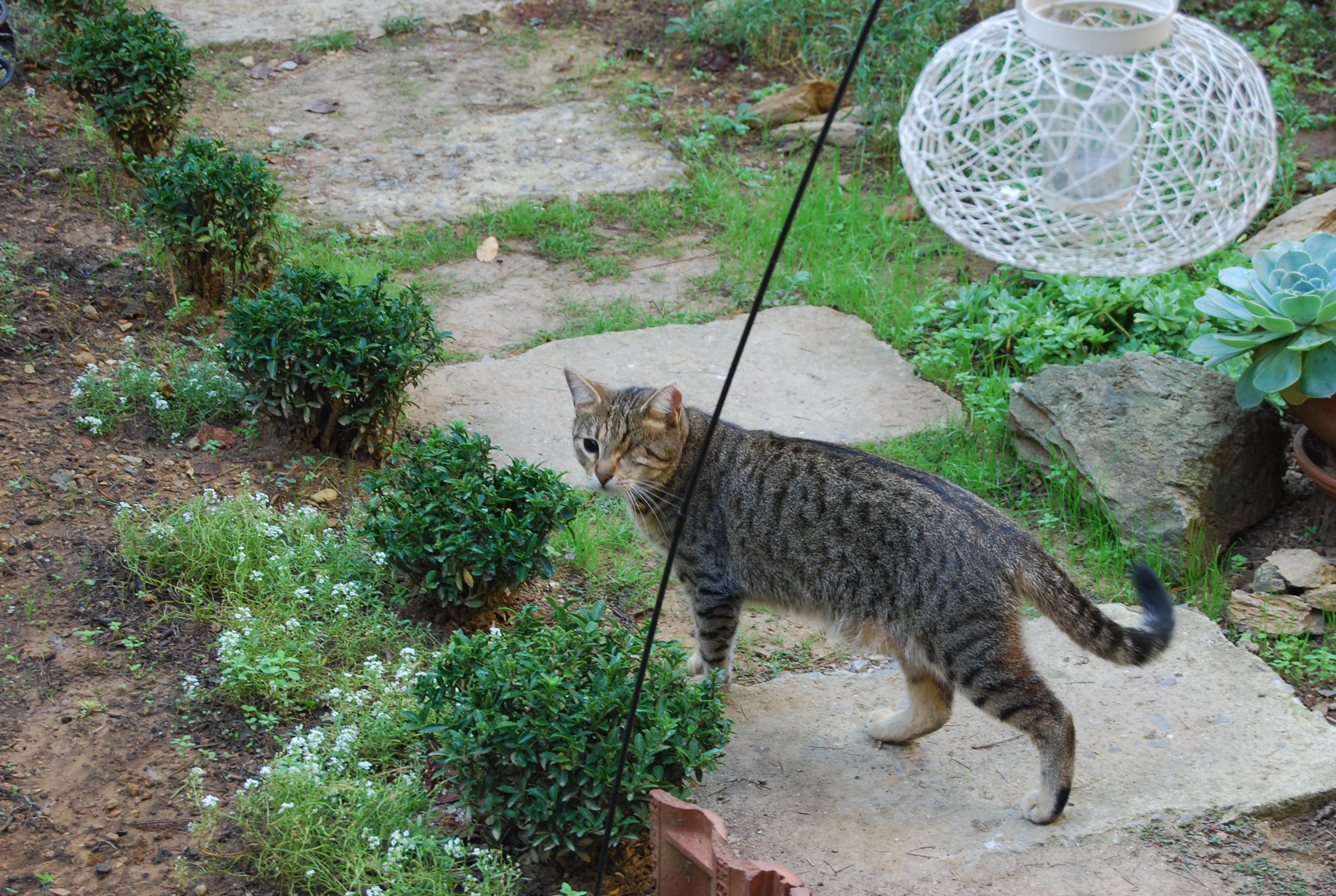 Emin Capa On Twitter Kizim Her Sikistiginda Baba Diye Bagirir Ve Yardim Isterdi Acimi Buyuten Sey Olurken Kizimin Yaninda Olamamak Baba Diye Bagirdigini Ama Babasindan Yardim Goremedigini Bilmek Kollarimda Olseydi De Cok