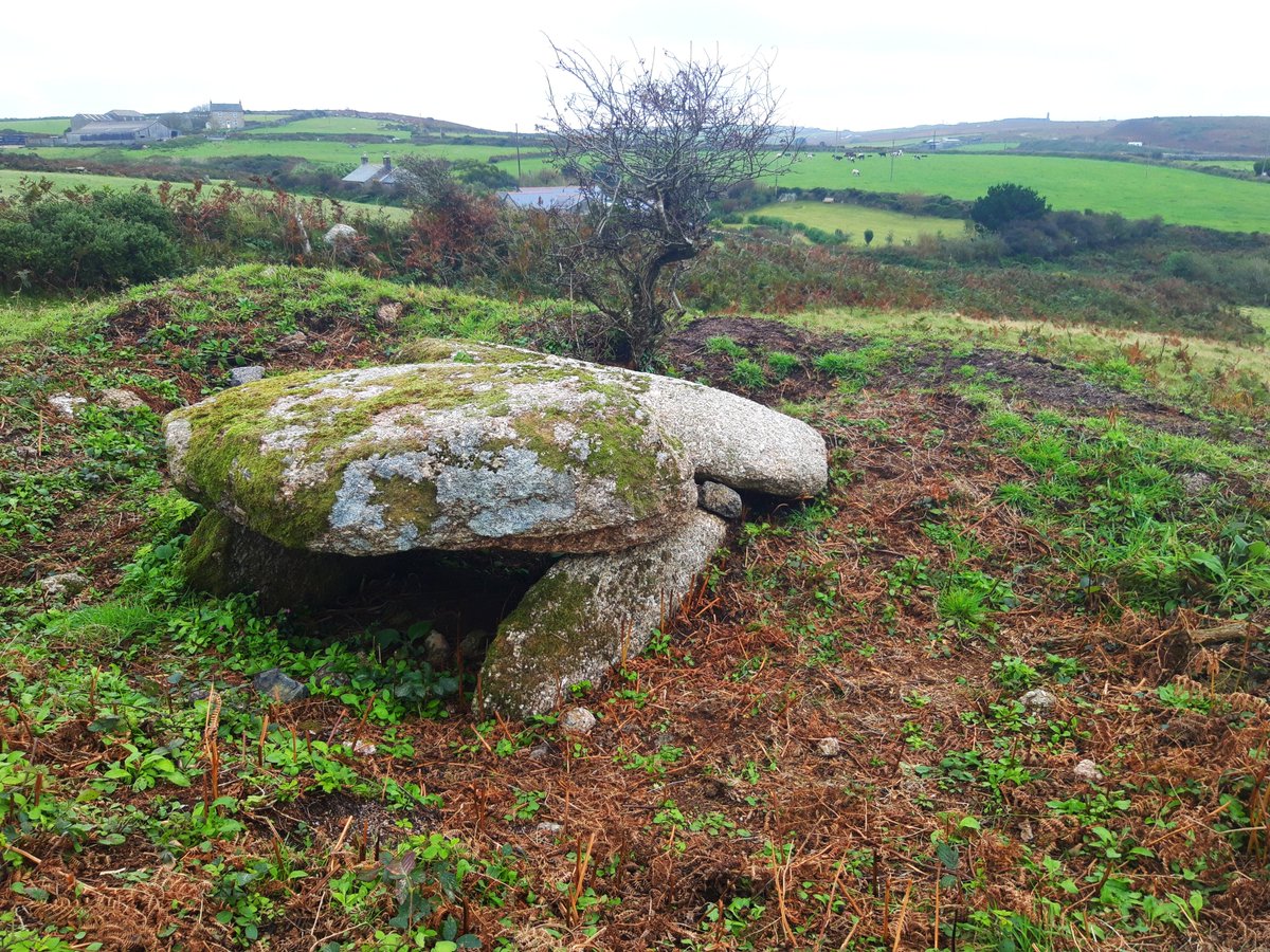 Tregeseal Barrow is a chambered tomb near Tregeseal Stone Circle/Holed Stones (see above). Surrounded by a mound with some of the kerbstones still in place, it once had a cist in which an intact urn & cremated bones were found. Approx 3-4000 years old. #PrehistoryOfPenwith
