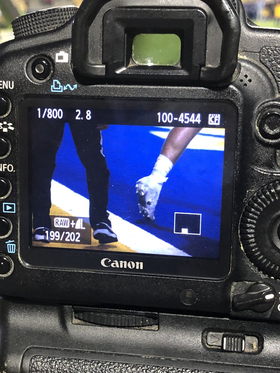 AllenGWaddell's tweet photo. That close!!! TD Lions https://t.co/QUk4pvnmTT