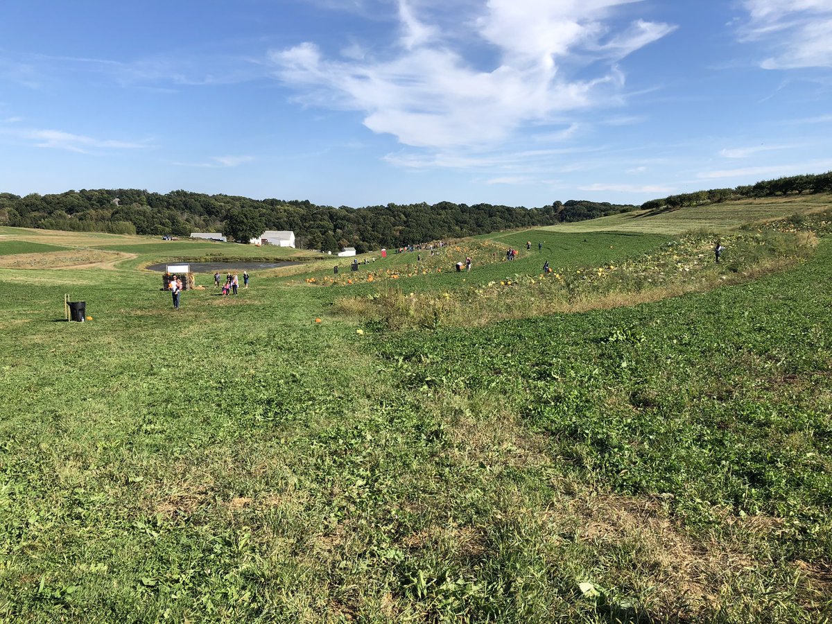 Perfect fall day for a visit to the pumpkin patch! 🎃 #ShenotFarm <a href="/KDKA/">KDKA</a> #YourPittsburgh
