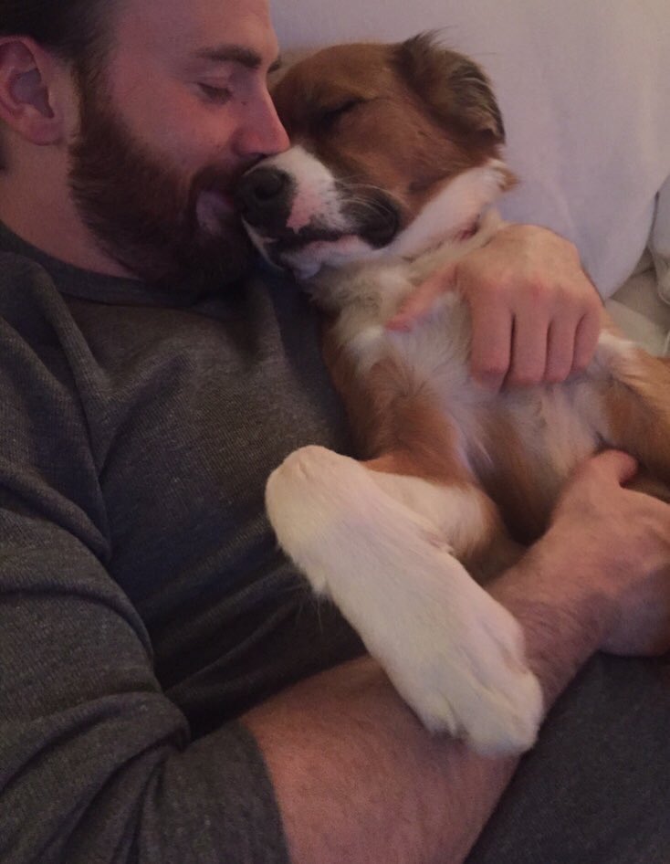 ayeitsrenae's tweet image. RT to vote #ChrisEvans as #TheActionMovieStar #PCAs @ChrisEvans