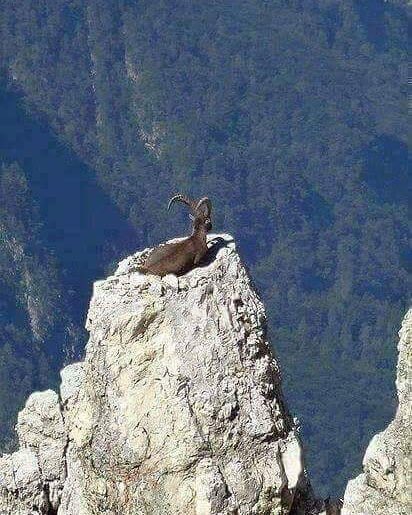 Myigit631's tweet photo. #HoşlantıBaşlatanSözler
Ey özgürlük.....🙏❤️✊

Özgürlügü anlatabilen en güzel fotoğraflardan birisi olmalı..!! https://t.co/b8YtjG8L9H