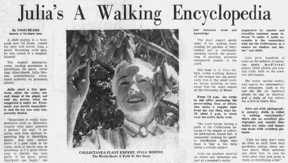 RareFruitMiami's tweet photo. The person that named us The Rare Fruit Council A Tropical Fruit Study Group Dr Julia Morton Learn more about why she deserves to be in the Florida Agricultural Hall of Fame VIDEO #RFCIMiami #RareFruitCouncil https://t.co/j6whpqB7QZ Photos #RFCIArchives @um_spec_coll @fruitnspice https://t.co/LE07MKV5M8
