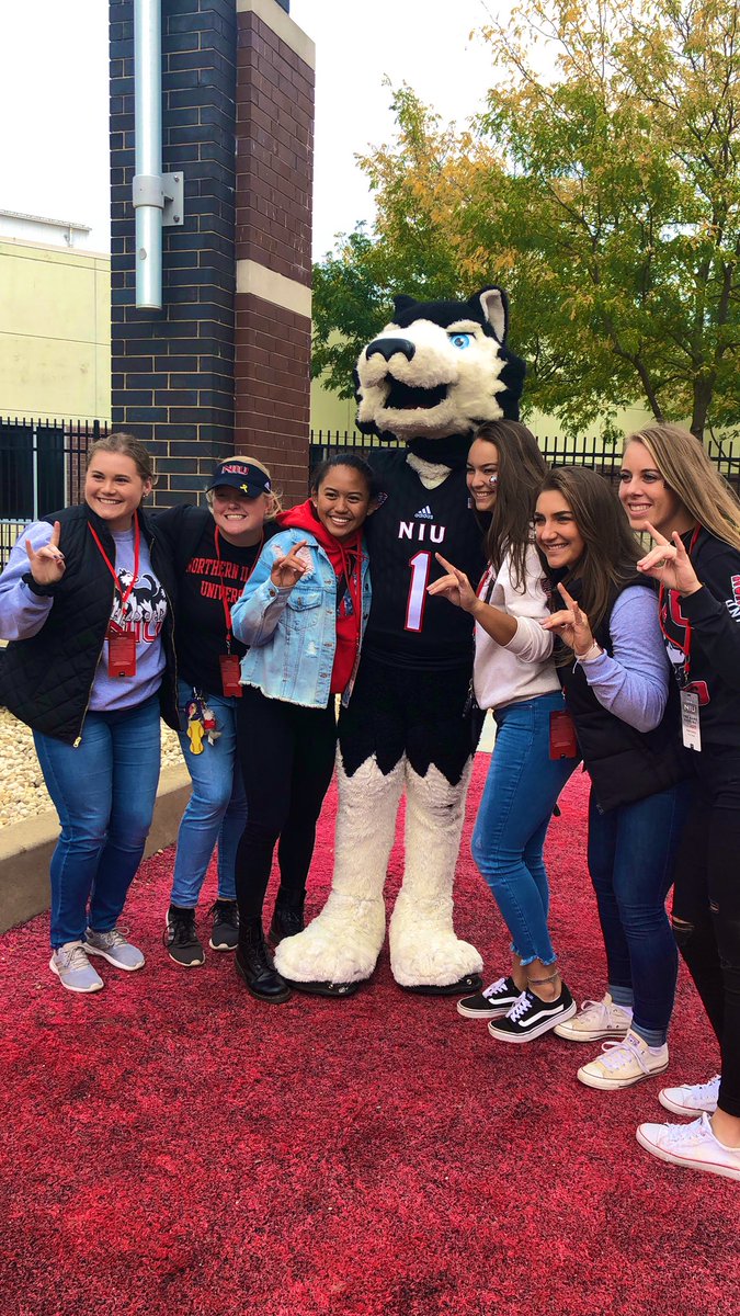 NIUSoftball's tweet photo. Let’s go Dogs! 🐺❤️🐾🏈  #DogsEatBirds #BallisnotaState #HuskiesSupportingHuskies @husk_experience https://t.co/K4rp2s8jKt