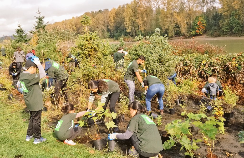 GaryAulakh_TD's tweet image. #TDTreeDays