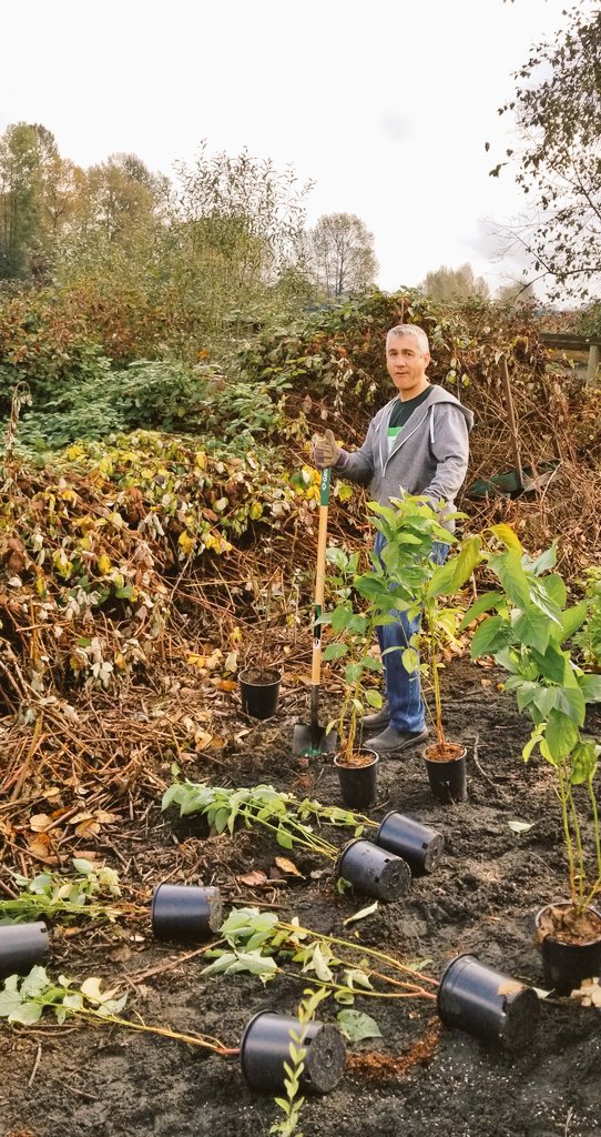 GaryAulakh_TD's tweet image. #TDTreeDays