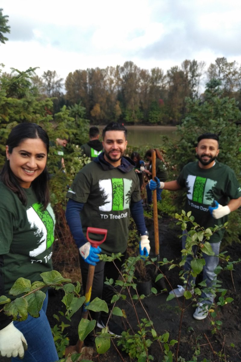 Great turnout and cause planting trees with local community in Fort Langley! #tdtreedays #PacMMS #fortlangley <a href="/GaryAulakh_TD/">Gary Aulakh</a> @CSir_TD <a href="/VerretGreg/">Greg Verret</a>