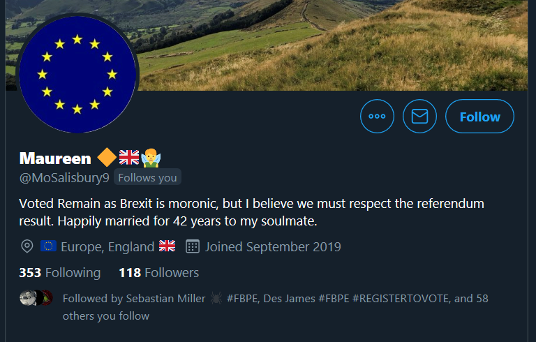 PozzyWozzy's tweet photo. Hey Remainers, I have just been followed by this account and I wonder if anyone thinks they are genuine? https://t.co/KttTvFbive