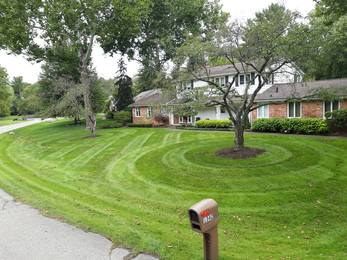 #HappySaturday #LawnCare #Husqvarna, making the clients happy