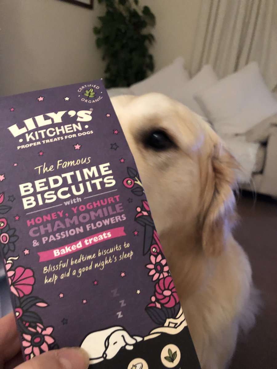 HelpForMovers's tweet photo. So spoilt! #Monty #goldenretriever #dogs #bedtimebiscuits #love https://t.co/I7pLY8gjwC