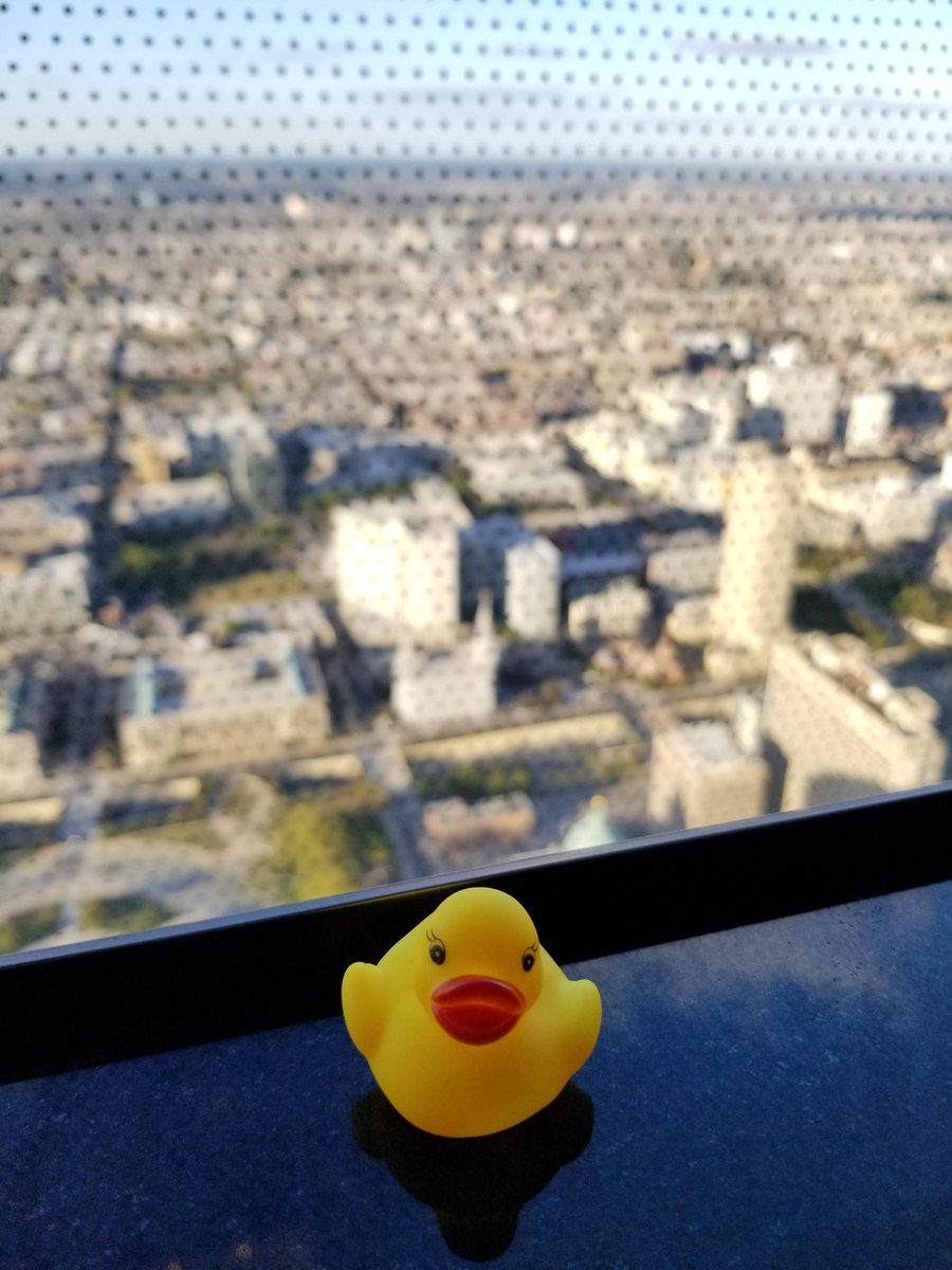 DuckarmyP's tweet image. #DuckArmyInvasion We&apos;re at the top of the world!