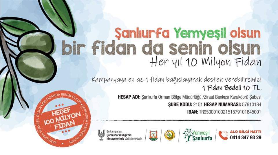 yemyesilurfa's tweet photo. Şanlıurfa Yemyeşil Olsun, Bir Fidannda Senin Olsun. @Abdullah_Erin47 @mehmetkusnet @zabeyazgul @mcanpolatnet @av_ihalilyildiz @farukcelikcomtr @celalettingvnc @UrfaValiligi @Urfafest @vildan__polat https://t.co/1J14JgRGGL