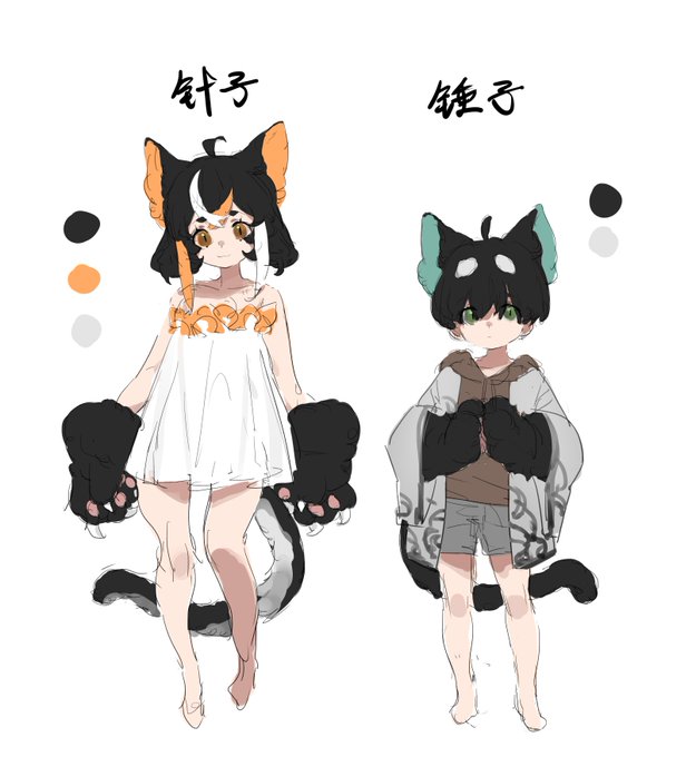 我家的猫 