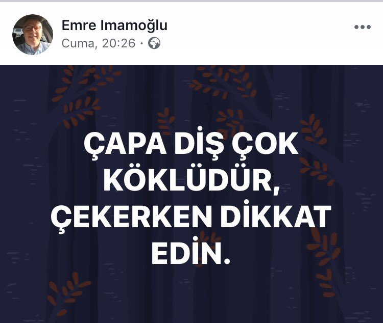NihanAksakalli's tweet photo. #capadadeprem
#capacapadakalmalı
#yerindeyenidenyapılanmalı https://t.co/pVug2uesxt