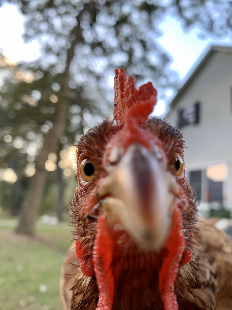 ❤️ Dorothy ❤️