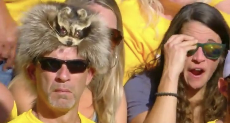 EGJdY5jU4AAc5SK?format=jpg&name=900x900