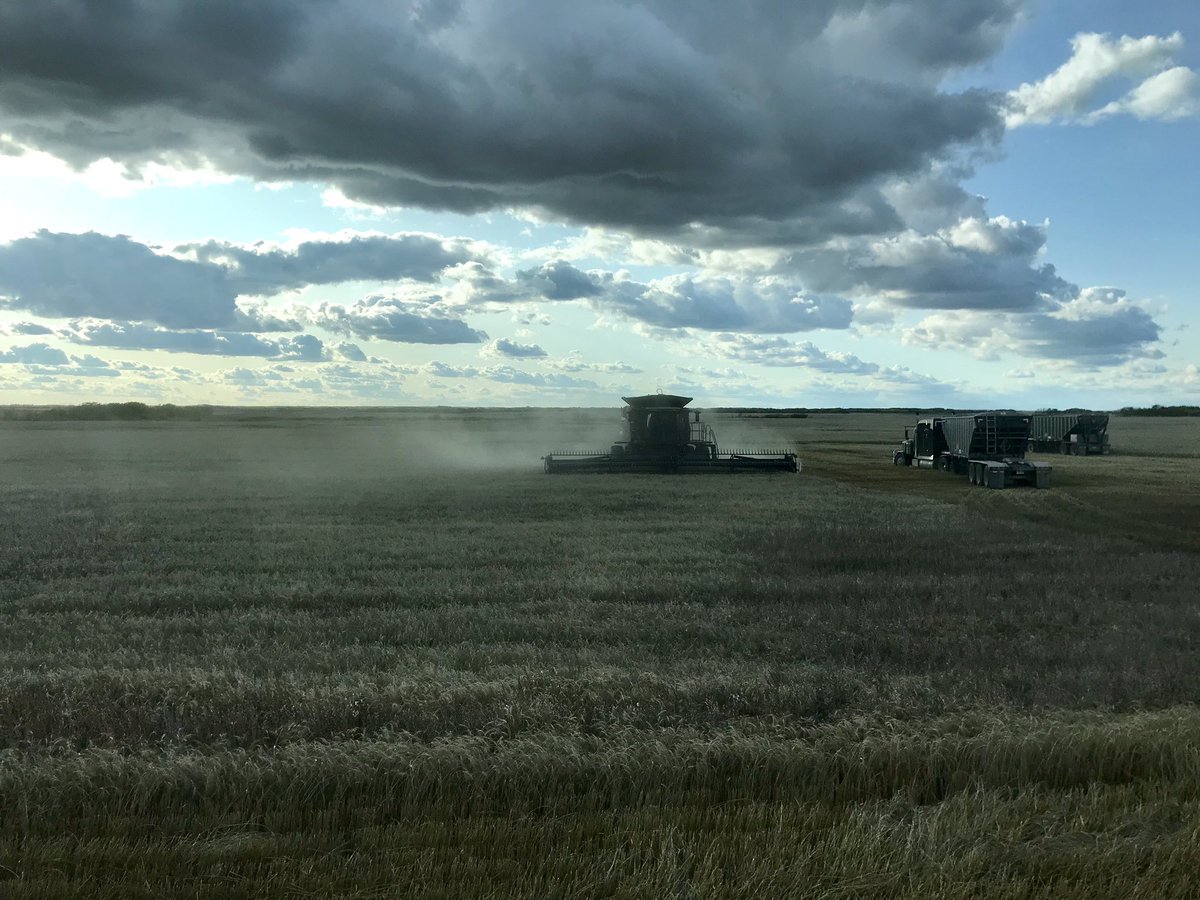 bgdoane's tweet image. Dry enough..... #mudonthetires