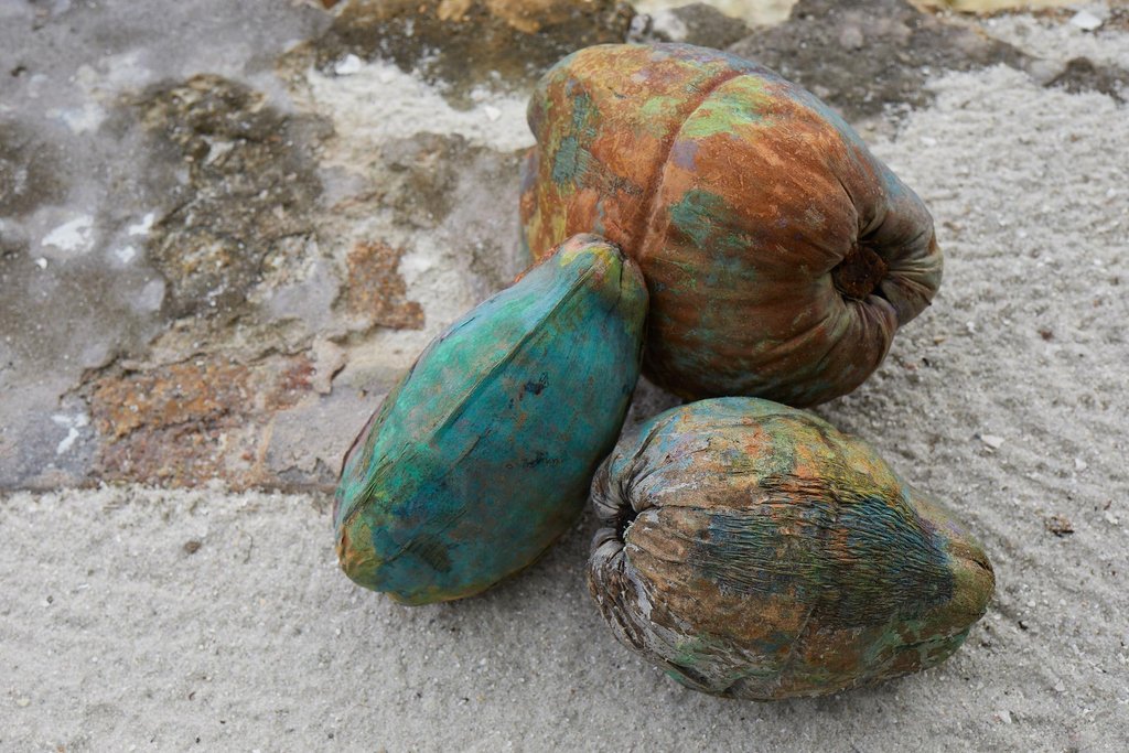 Carl Kapp tweet media