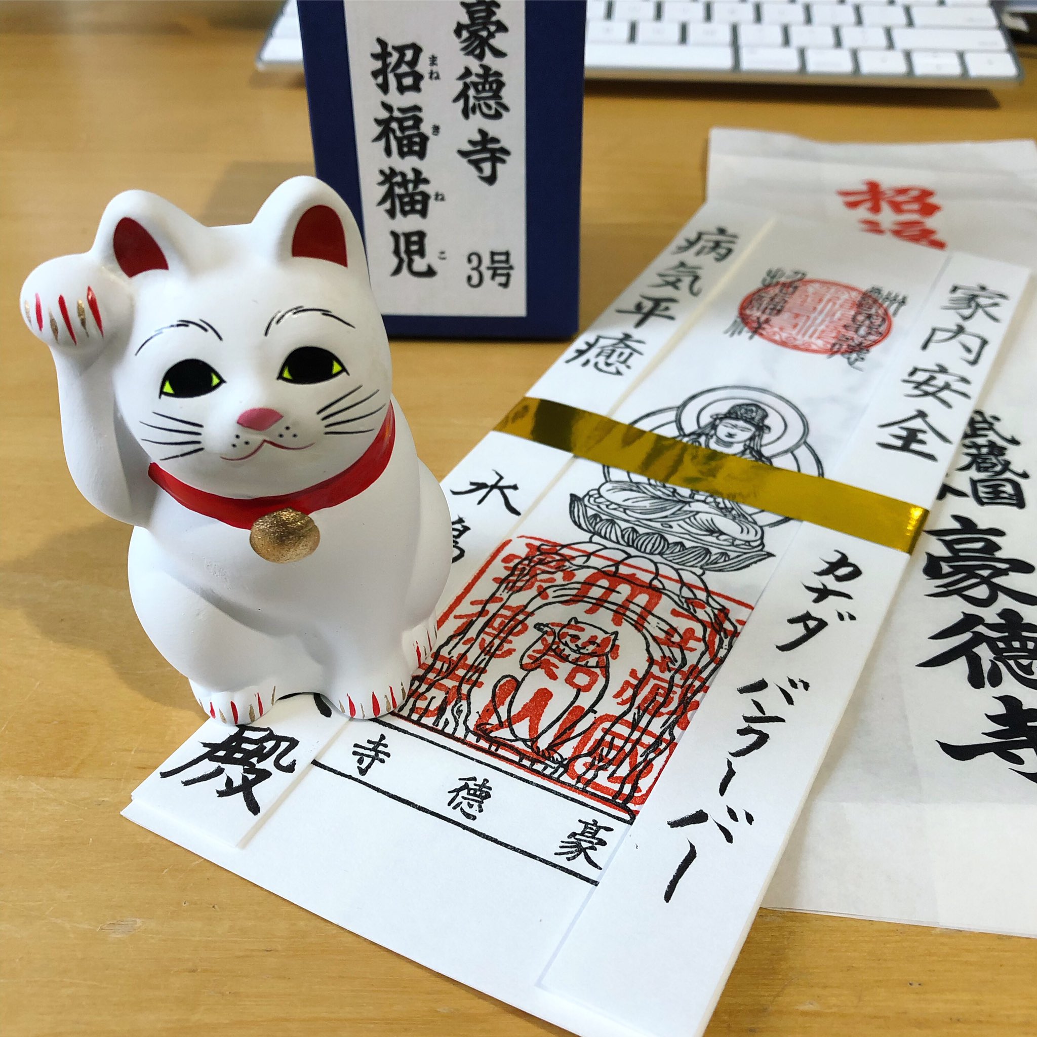 豪徳寺招き猫尺(10号)