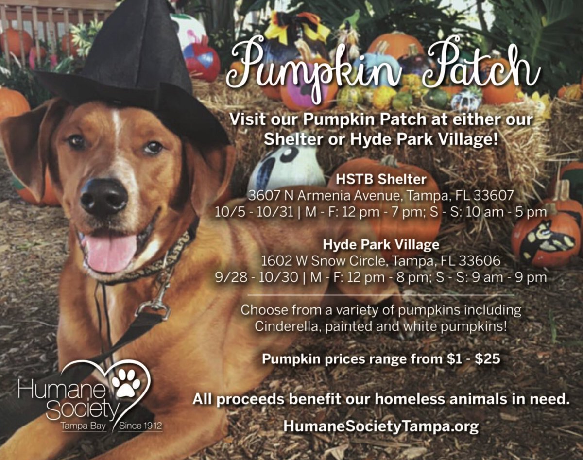 Do you like pumpkins? Do you like puppies? If your answer to either of those questions was “Yes!” then you should check out this event hosted by <a href="/HumaneTampaBay/">Humane Society Tampa</a>! This is a great way to get your seasonal pumpkin and also support a worthy cause.  Shelter animals make great pets!