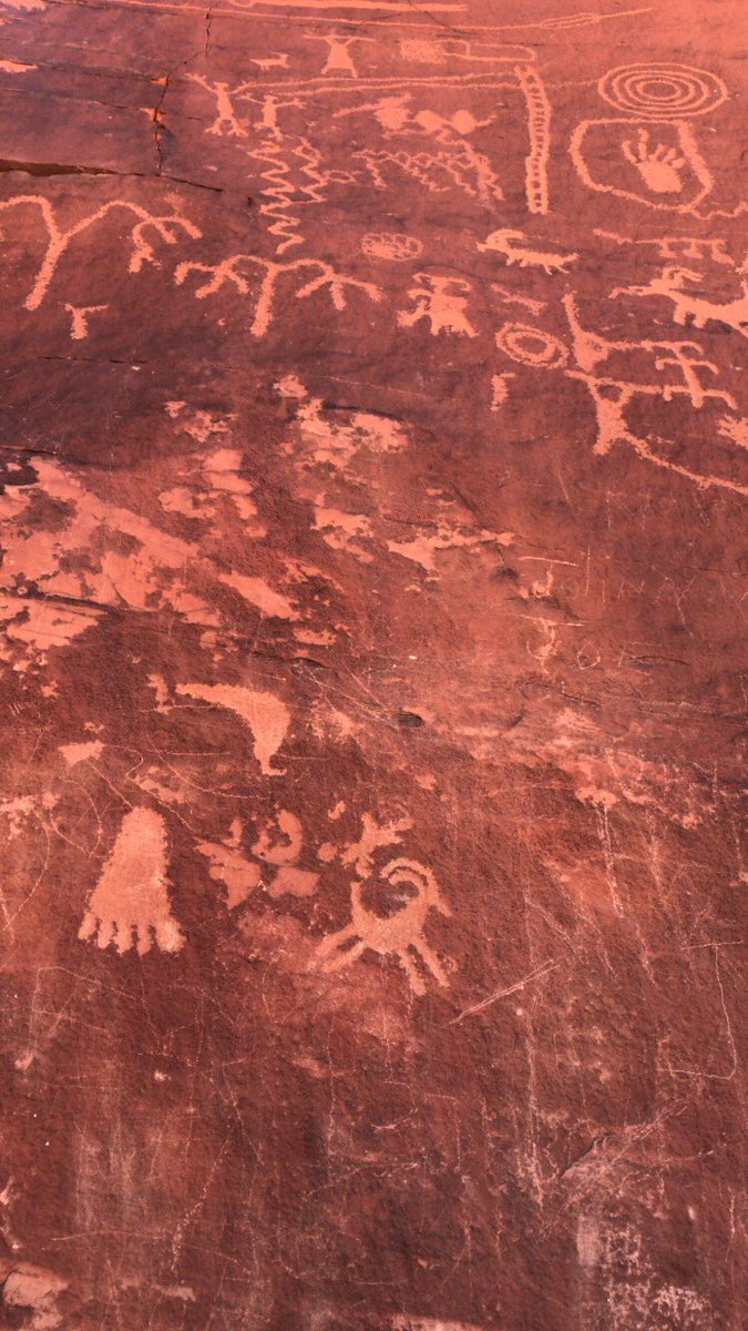 Sofie Wachtmeister tweet media