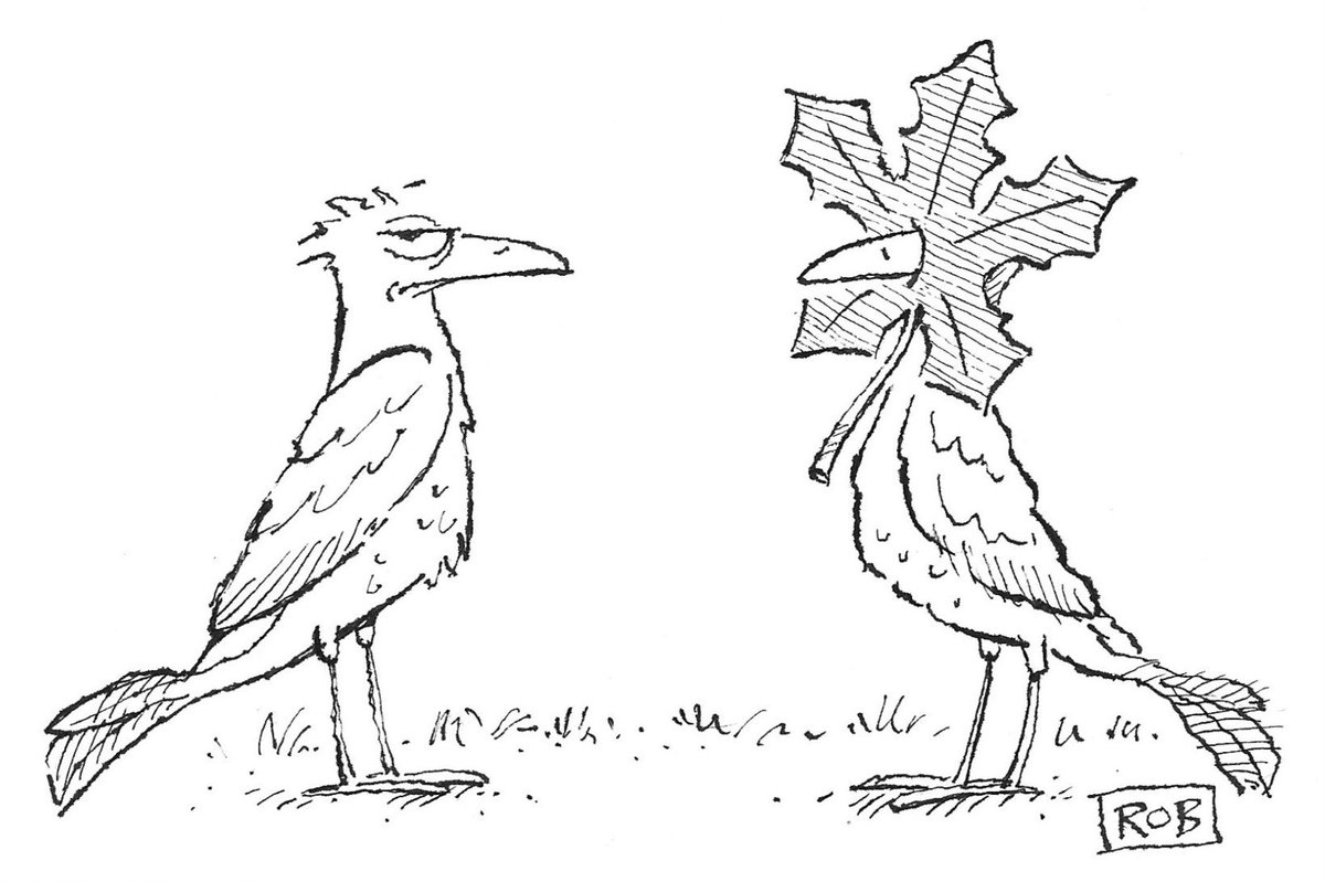 ArtofRob's tweet photo. Inktober No.5
"Delicious autumn! My very soul is wedded to it, and if I were a bird I would fly about the earth seeking the successive autumns."
- George Eliot
#Inktober #Inktober2019 #TheRobBirds #Autumn #StrangeLittleOddThings https://t.co/OnKqmJtQl0