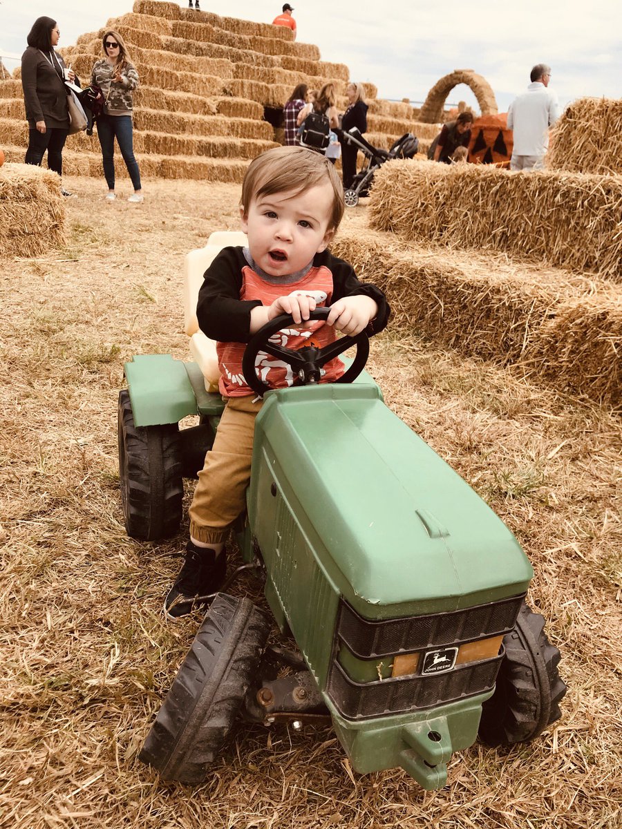 Erickascarfino3's tweet photo. @ThiesFarm WHAT A GREAT #October DAY AT 🎃 LAND 🎃PLUS WE BROUGHT HOME TREATS &amp; 🎃🎃🎃🎃🎃🎃🎃 #Pumpkins #LifeIsGood #HalloweenVibes #HalloweenCountdown #SaturdayThoughts #saturdayfun https://t.co/3ZhbNtUfmZ