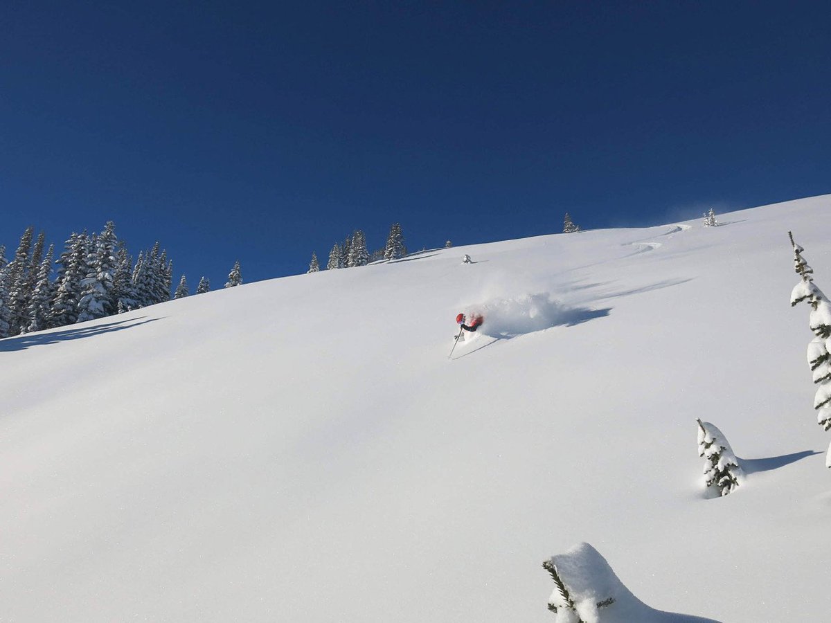 purcellheliski's tweet photo. So deep you can just see arms and a head. It's a thing. #blowerpow #goldenbc https://t.co/9DvnKebcQE