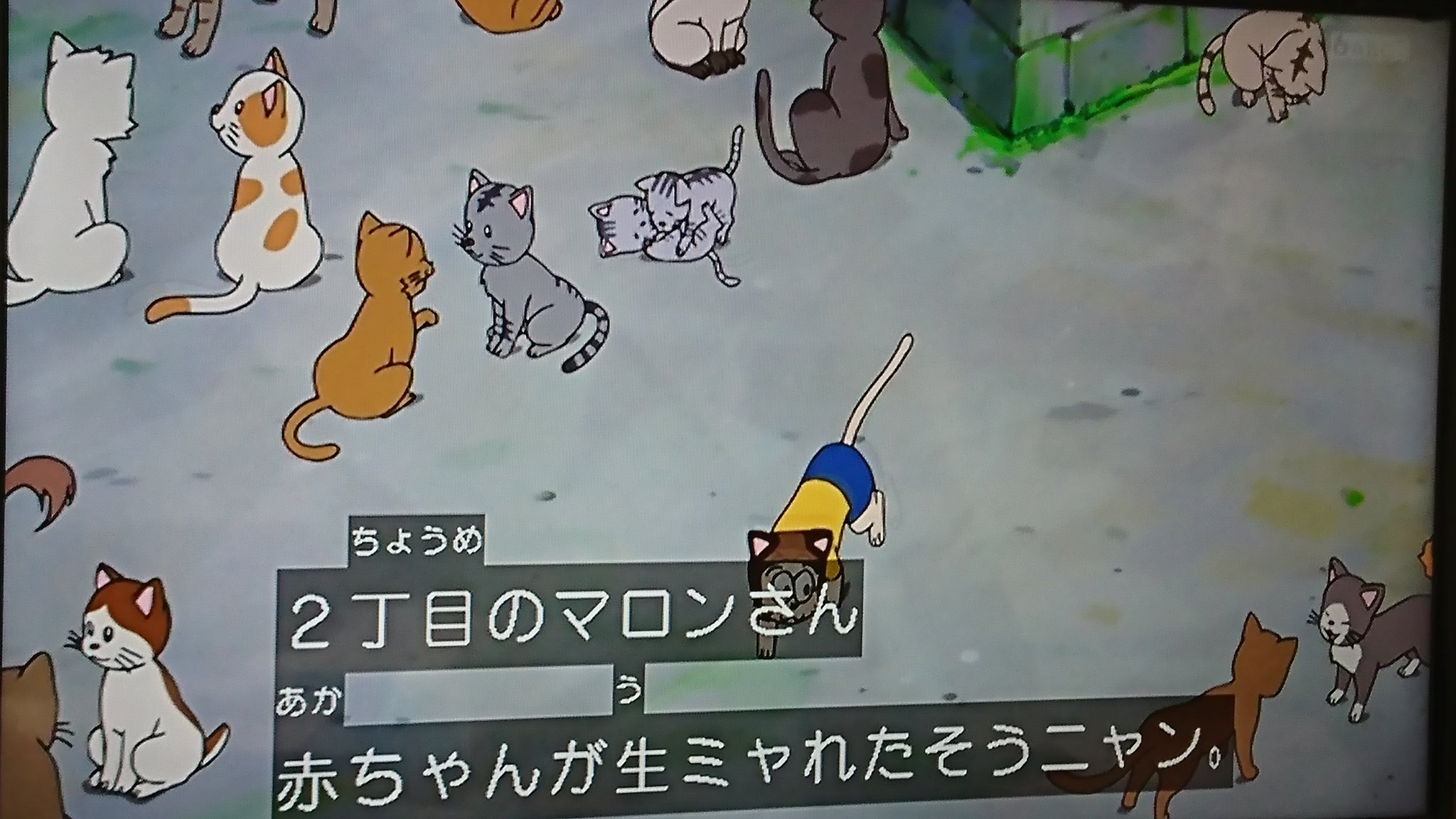 た ワクチン接種2回目完了 ねこのしゅうかい マニューラ進化前のニューラにねこびより付けてもよかったのに ドラえもん ポケカ T Co Uj6jydjhhh Twitter