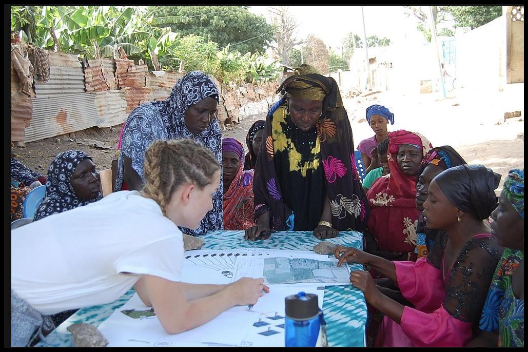 Ousman Ceesay tweet media