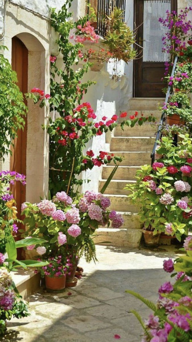 ✨ Χαρούμενη Καλημέρα🇬🇷 Υπέροχη Κυριακή ☀️Με υγεία, χαρά και χαμόγελα όλη μέρα✨Happy day with a smile all day just like mine 😇with my love to all of you ❤️ Καλημέρα παιδιά από την Αμερική😇❤️🇬🇷🌎