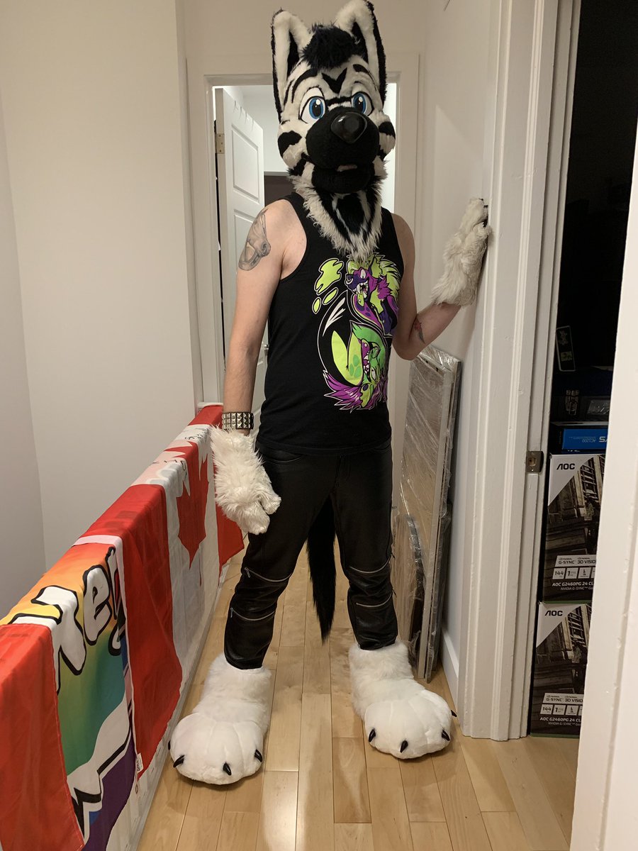 Zolar_the_Zolf's tweet photo. Preview of my outfit for Howl tonight ~ https://t.co/el4wdhTjk4