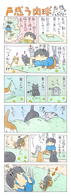 「一歩が重い」
捨てる神あれば拾う神あり。
猫って難しいですね～
(久保智昭さんの「猫色スケッチブック」)他一枚更新しています。
⇒( 