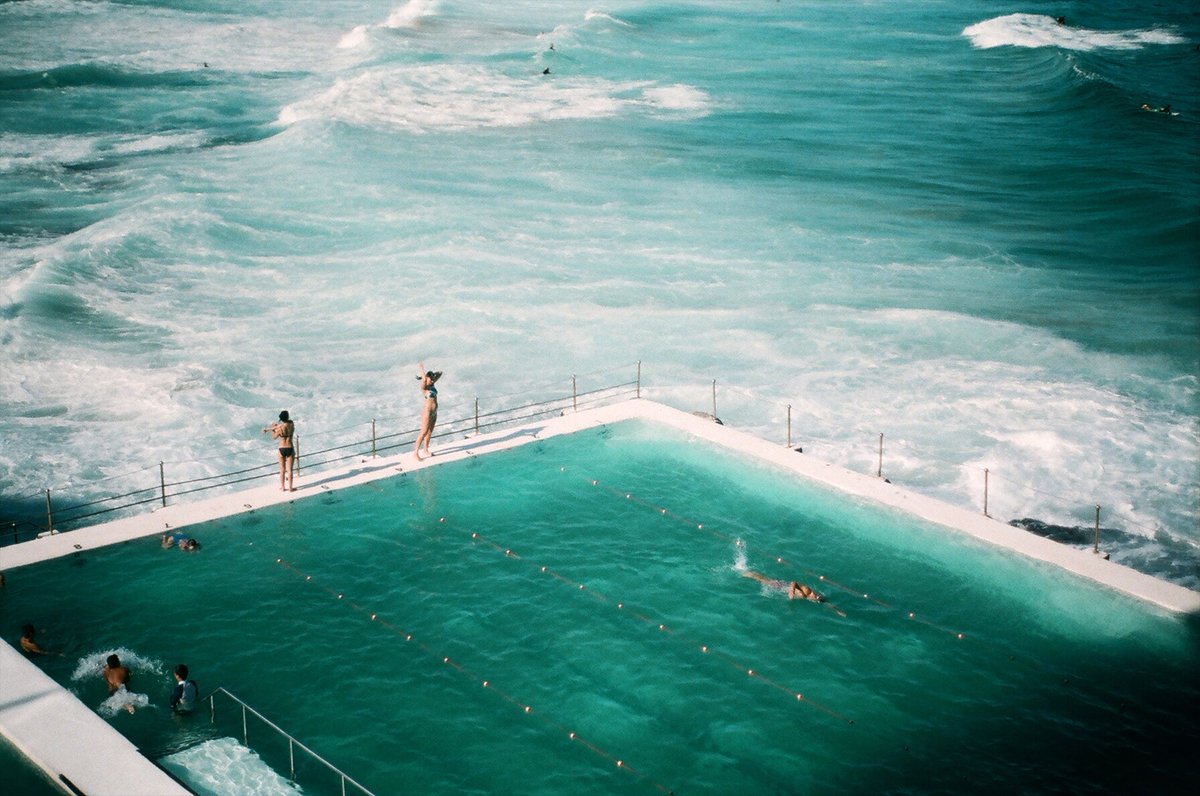 latrobe's tweet photo. Our very own @clareawright, Dennis Altman and alumnus Tim โRossoโ Ross (@Modernister50) and Tim Flannery make a splash in this fascinating two-part doco about the poolโs place in Australian culture and history.
Dive in on @ABCTV iView ๐๐ผโโ๏ธ https://t.co/KBkGSjYTuy | #ABCThePool https://t.co/2ChO5G7tBm