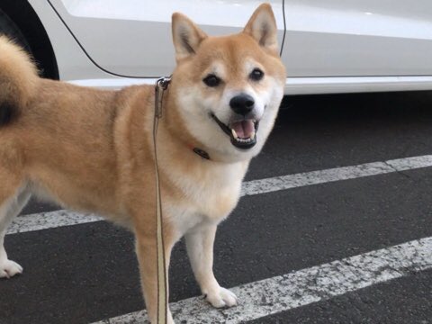 すぴ Spi 3 Twilog すぴ Spi 3 Twilog