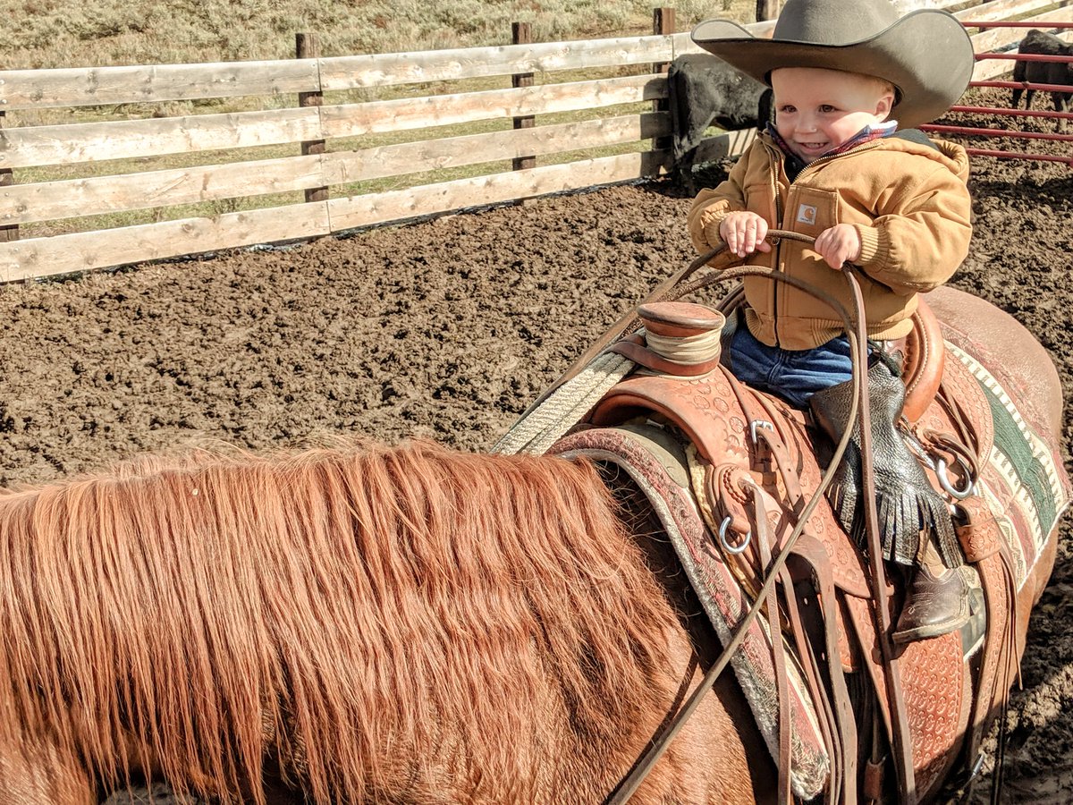 Jennifer Sweat tweet media