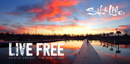 RealSaltLife's tweet photo. Live Free
#SunsetDreams #LivingTheSaltLife https://t.co/GlOnZKk4CJ