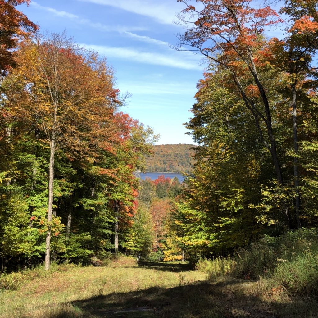 Today was a fabulous day for a hike <a href="/SirSamsSkiArea/">Sir Sam's Ski / Ride</a>! 6km of fantastic hiking trails with amazing views and scenery! #myhaliburtonhighlands #comewander #hikehaliburton #haliburtonlife <a href="/HikeOntario/">Hike Ontario</a>