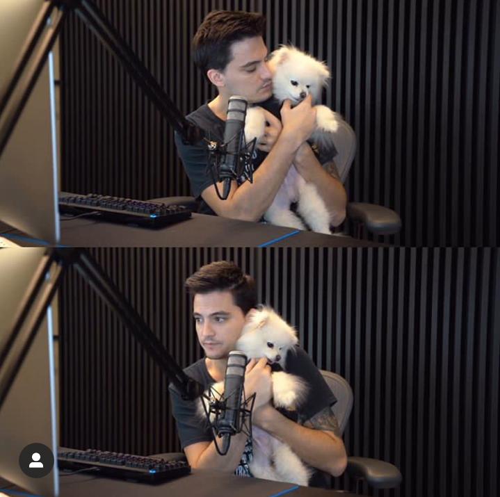 FcFelipenetoC's tweet photo. Fala verdade , eles dao muito nenens da nossa vida né ❤❤ 👦🐶 @felipeneto  #Pulga https://t.co/YE167kjF9K