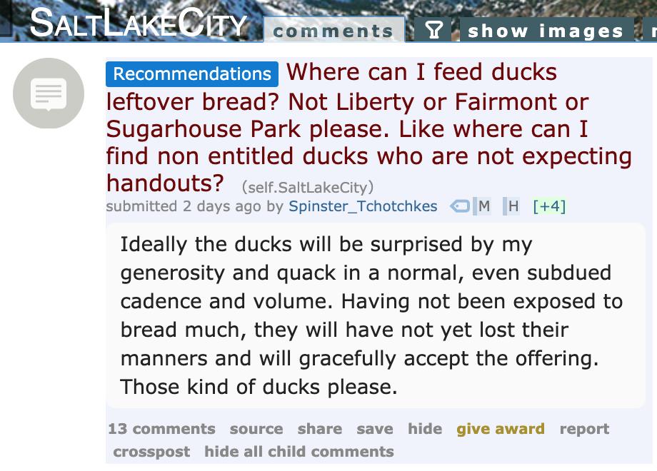 hello_amanda's tweet photo. Where can I find non-entitled ducks who are not expecting handouts? https://t.co/YUOogxkBmp