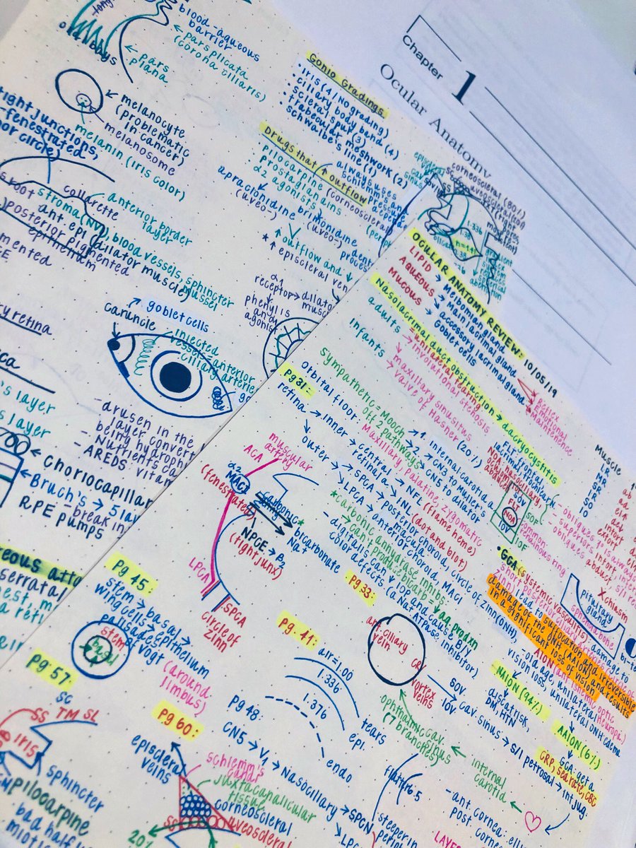 oheychristine's tweet image. here’s to another #kmkoptometry weekend! let’s hope my hands survive another day of lectures.