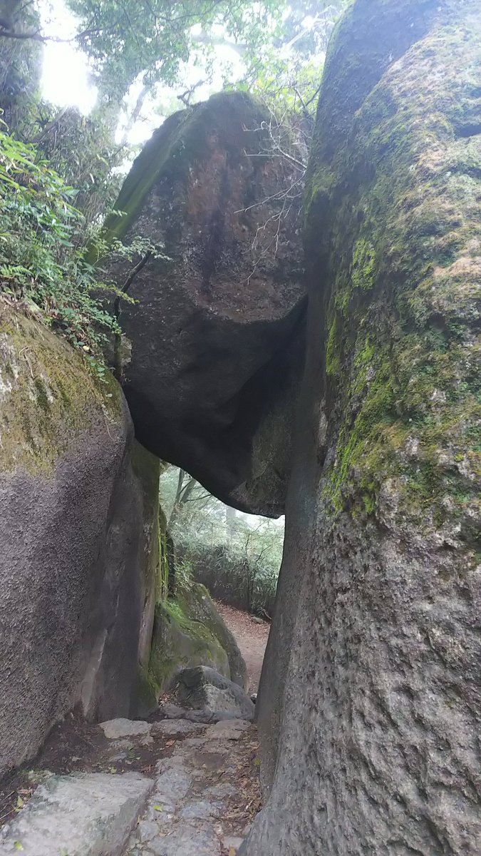弁慶七戻り