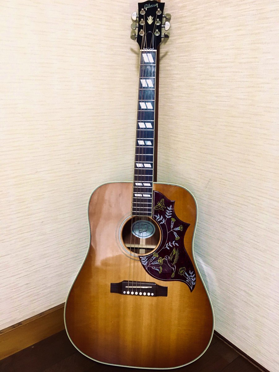 Syudou アコギ買った Syudou アコギ買った
