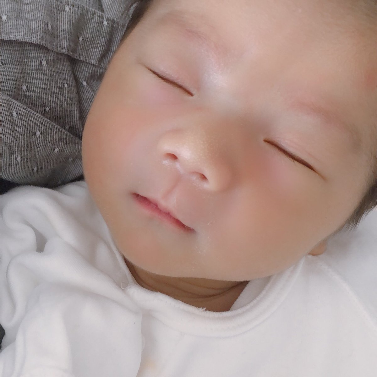 doublev93_JS's tweet photo. うちの天使👼💜 https://t.co/624kBpba8i