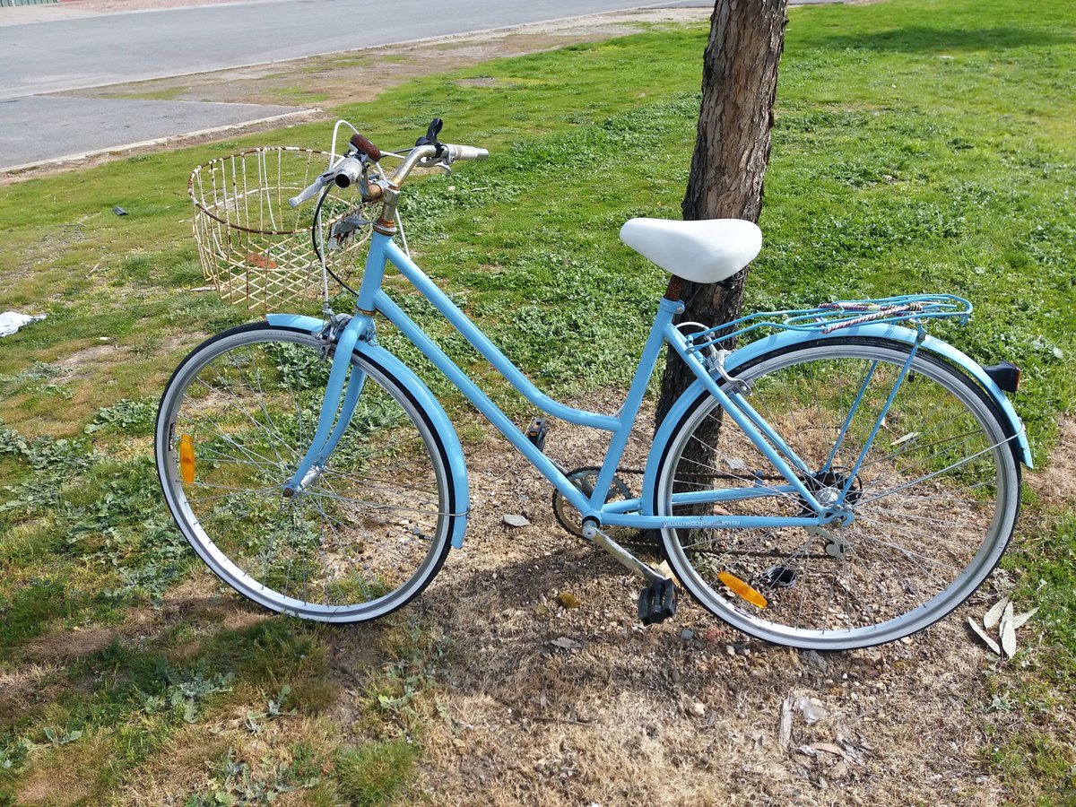 BikeBendigo's tweet photo. My sister managed to break her bicycle beyond viable repair and instead of buying a new bike, I found this one for $20 at the recycling centre. 

De-rusted the parts with vinegar. Re-greased seized hubs. New chain. Turned out alright I think. 🚴‍♀️🌳♻️

#Bendigo https://t.co/KW8xS3U4IL