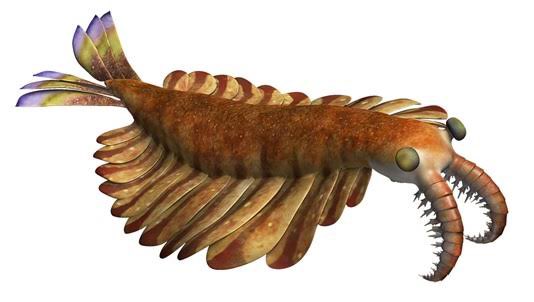 ピスケッツ V Tvittere なんか見た覚えがあって 古代 虫 とかで検索したら出てきましたw 早くロケッツでのプレー見たいですね