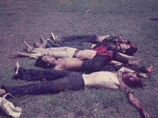 blacklion_thai's tweet image. ภาพที่ถูกเปิดเผยออกมา... 
โดยนักข่าวนิวซีแลนด์
#6ตุลา