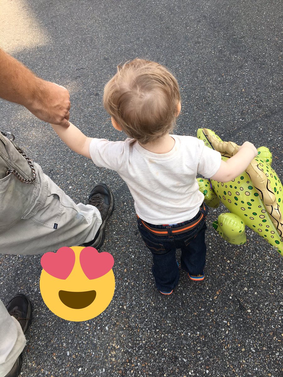 CaptainSquidInk's tweet photo. Well yesterday was extremely eventful 😂
We went to the Claybank Festival 
My husband got his first cat
His name is Dizzy
My son got a inflatable dinosaur 
And I got some corgi stickers from one of my friends 💕 https://t.co/Bh63WzfLxX