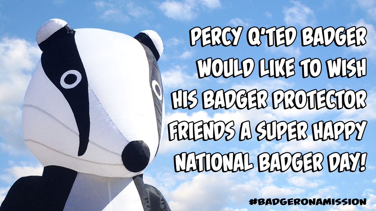 Happy #NationalBadgerDay to all those awesome badger protectors out there night and day fighting to keep our badgers safe. #stopthecull #badgeronamission