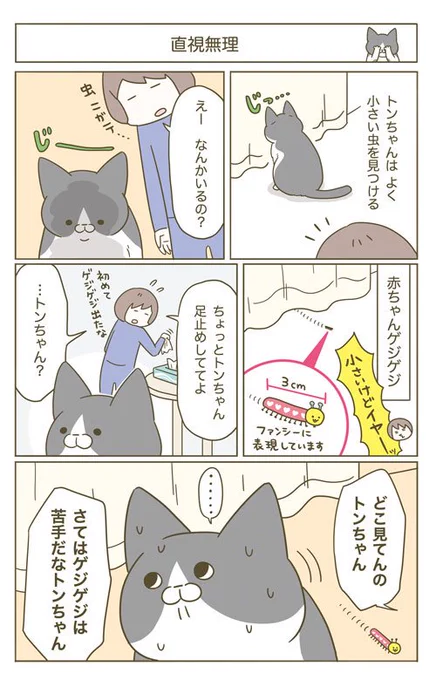 猫まんが 